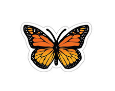 Adesivo farfalla decalcomania