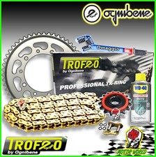 KIT TRASMISSIONE CATENA TROFEO