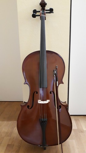Violoncello damon student - violoncello,
