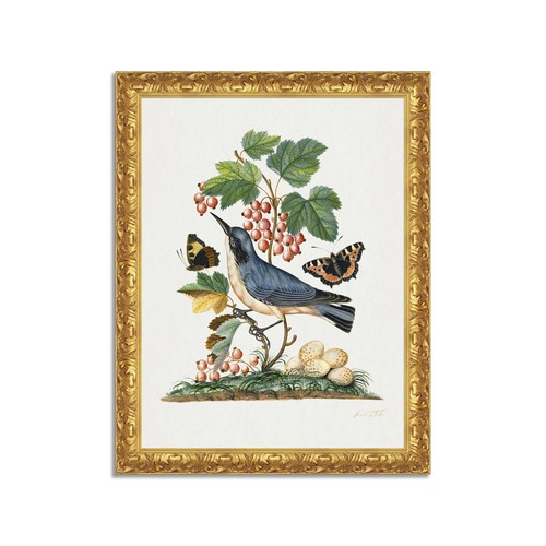 Quadro stampa tela effetto - tela,