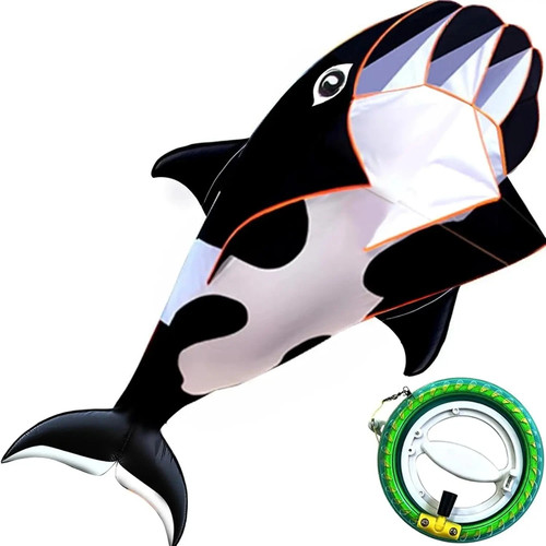 Aquilone balena delfino - e,