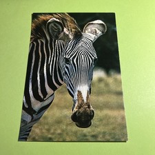 CARTOLINA COLORI COLLEZIONE