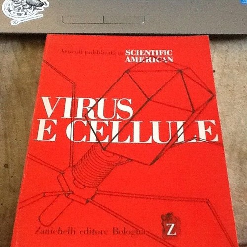 Scientific american - vv.,