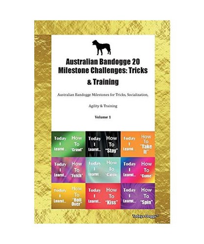 Australian bandogge - australian, 20