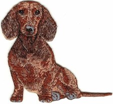 Toppa bassotto ricamata seduta marrone razza cane ferro da cucire