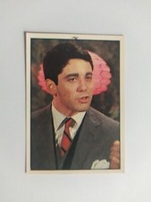 FIGURINA HAPPY DAYS PANINI