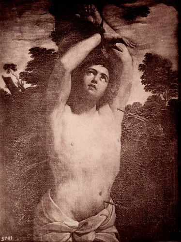 Romualdo moscioni roma - roma,