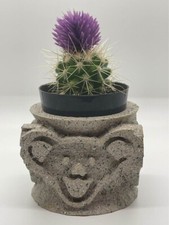 Fioriera Grateful Dead