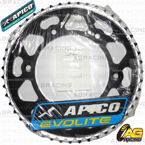 Apico evolite black pignone - apico,
