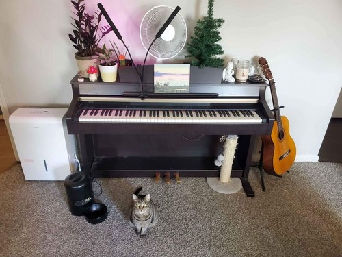 Yamaha digital piano - yamaha,