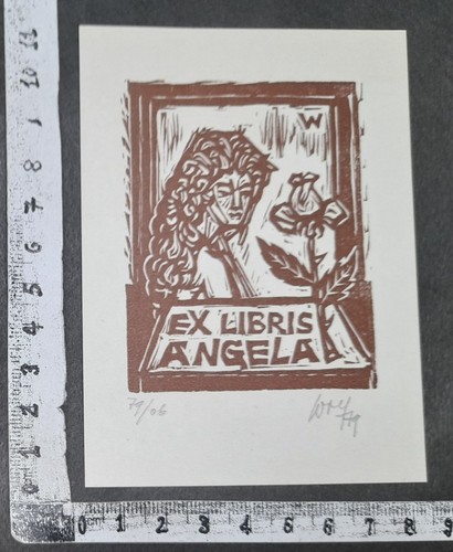 Wunderkammer exlibris 1159 - wunderkammer,