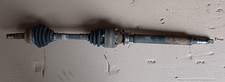46307010 Semialbero ant