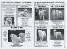 THE NORTHERN MAREMMA
