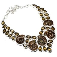 Collana Ammonite Fossile e