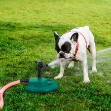  Irrigazione Del Prato Spruzzo