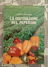 LA COLTIVAZIONE DEL PEPERONE