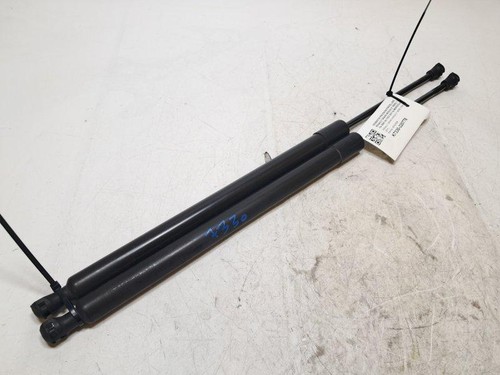 8200665709 pistoncini - 8200665709,