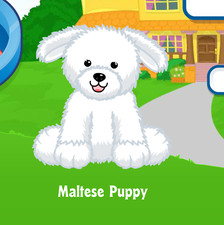 Webkinz Maltese Cucciolo