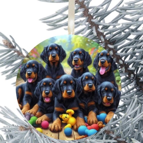 Gordon setter cane - gordon,
