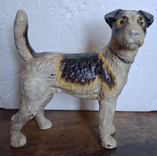 Fox terrier cane - cane, 8,5