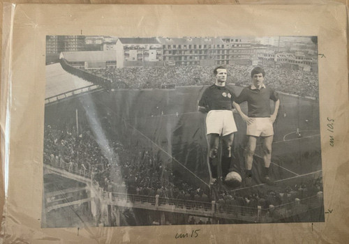 Football torino calciofoto - football,
