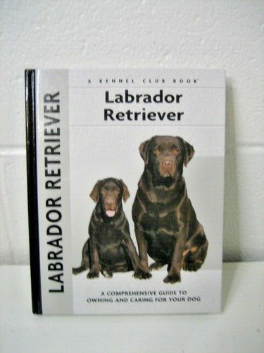 Labrador retriever hardback - labrador,