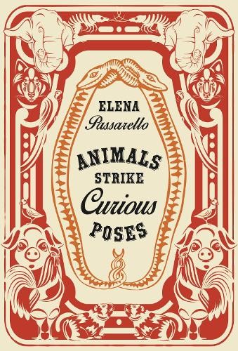 Elena passarello animals - elena,