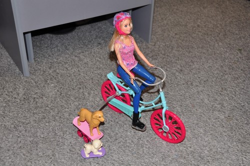 Barbie spin ride playset - spin,