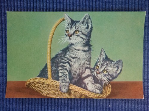 Vecchio cartolina gatti - vecchio,
