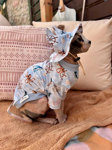 Sphynx maglione protezione - sphynx,