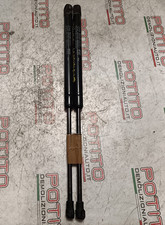 Asta ammortizzante portello