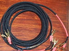 Duelund DCA16GA coppia stereo