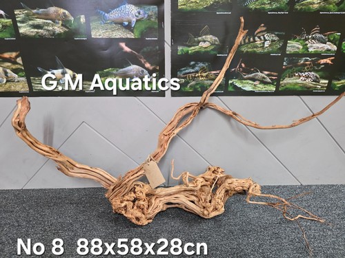 Legno per acquario azalea - , a