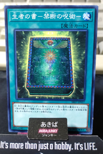 Libro della vita yugioh - vita,