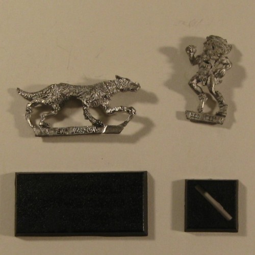 Wood elf dog - dog, animal