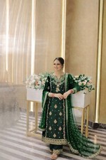 Pakistano Verde Ricamato Abito
