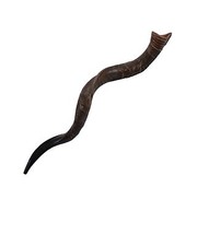 Corno antilope yemenita Shofar