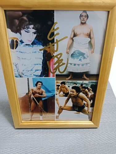 Foto collage firmata sumo - collage,