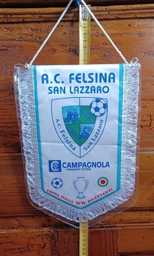 Gagliardetto felsinea - gagliardetto, s