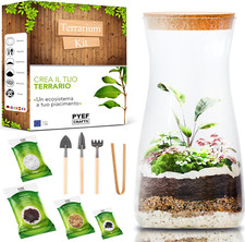 Terrarium Kit DIY per un