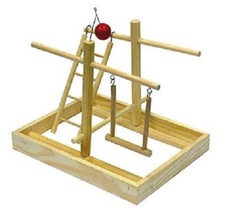 Gioco palestra cocorite - x,