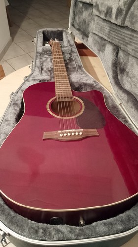 Chitarra acustica seagull - acustica,