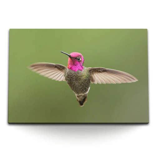 Quadro tela 120x80 cm - tela,