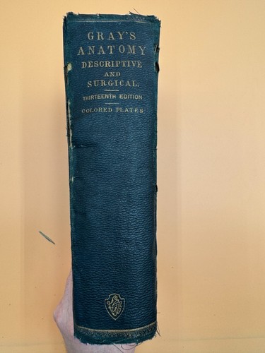 Gray anatomy descriptive and - anatomy,