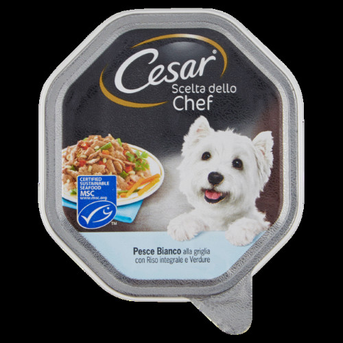 Cesar patã scelta dello - patÃ¨,