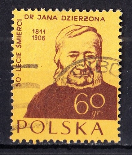 Polonia 1956 michel 983 - polonia-1956:, michel: