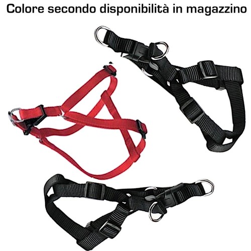 Coppia pettorina cani - pettorina,