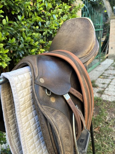 Appaloosa sella inglese - sella,
