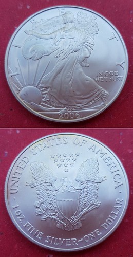 2006 usa fine - 2006, silver