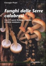 Funghi delle serre - funghi, calabresi